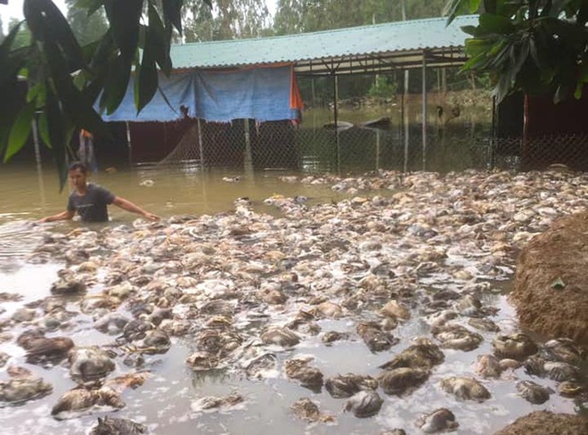 Thủy Tiên cứu trợ lũ ở Nghệ An, Hà Tĩnh: Nhiều người khóc khi nhận hàng trăm triệu đồng để trả nợ - Ảnh 2.