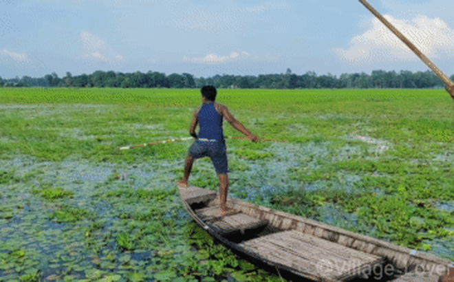 Ảnh: Cắt từ video trong bài Ảnh: Cắt từ video trong bài