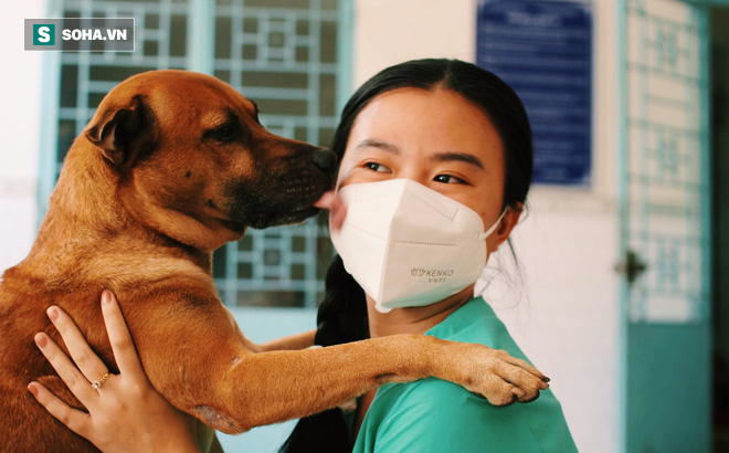 Ngoài công việc tình nguyện viên, Xuân Thuyên là người đảm nhận việc chăm sóc, nuôi dưỡng các chú chó trong khu cách ly