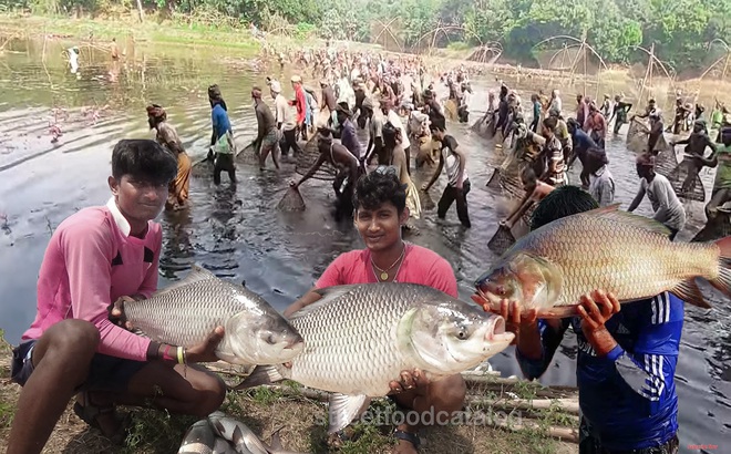 Ảnh: Cắt từ video trong bài