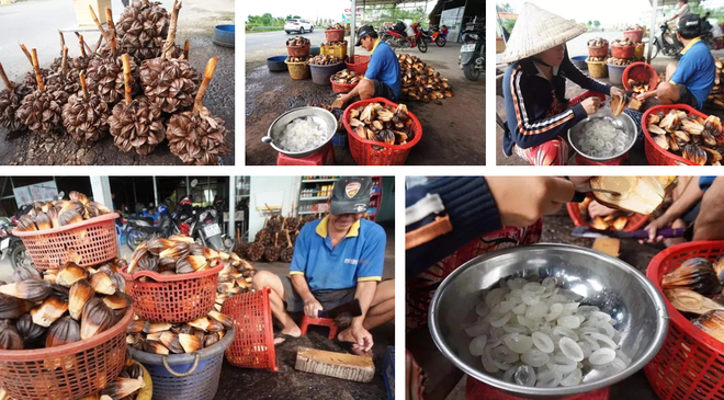 Loại quả mọc đầy ở Việt Nam nhưng lại là thực vật cấp quốc gia của Trung Quốc, được bảo tồn vì sắp... tuyệt chủng? - Ảnh 5.