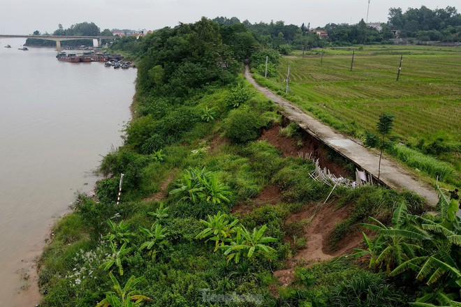 Xuất hiện nhiều vị trí sạt lở đê nghiêm trọng ven sông Hồng - Ảnh 4.