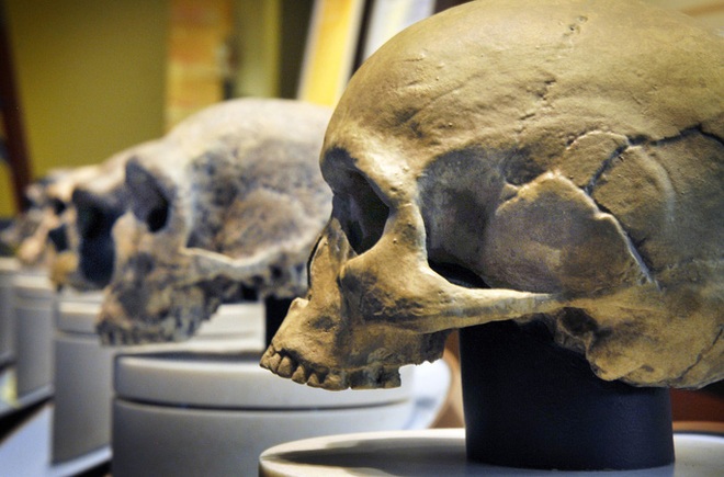 Sốc: 3.000 năm trước, não loài người bị thu nhỏ lại - Ảnh 1.