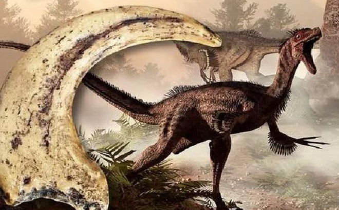 Không phải T-Rex với "cú đớp tử thần", khủng long Velociraptor mới là kẻ săn mồi vô địch thời tiền sử.