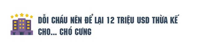 Bà hoàng khách sạn thiên tài nhưng xấu tính số 1 nước Mỹ: Bước chân vào giới thượng lưu nhờ giật chồng, quỵt cả tiền của nhân viên để rồi qua đời để lại trăm tỷ đô cho... chó cưng chỉ vì giận dỗi - Ảnh 11.