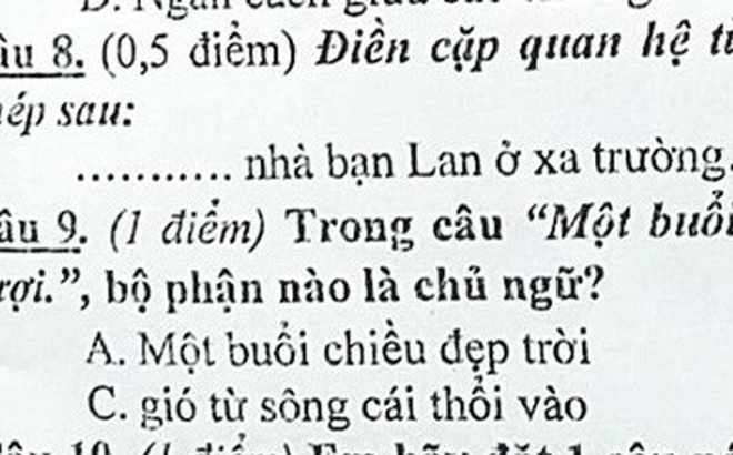 SHALLOT - nghĩa trong tiếng Tiếng Việt - từ điển bab.la