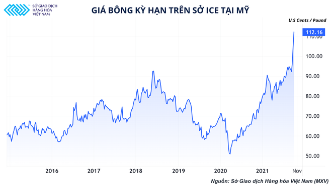 Giá bông lên cao nhất một thập kỉ, những bộ quần áo khoác lên người ngày càng đắt đỏ - Ảnh 2.