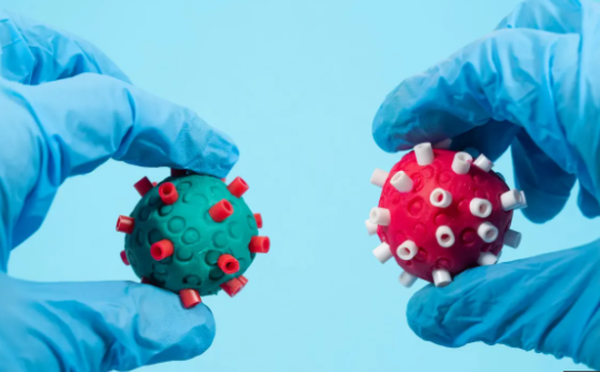 Các nhà khoa học cầm mô hình minh họa các biến thể virus gây bệnh COVID-19 khác nhau. Ảnh: Getty Images