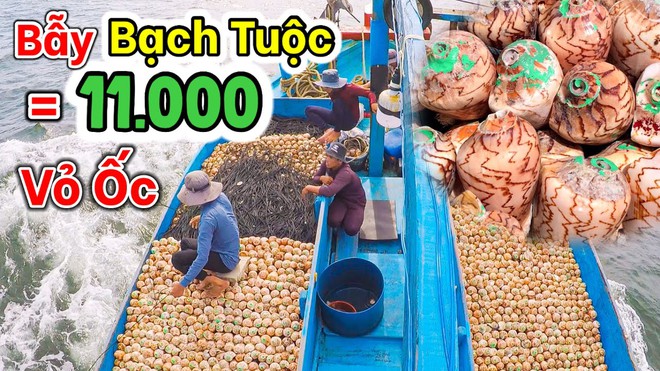 Thả 11.000 vỏ ốc xuống biển, ngư dân thu hoạch mẻ lớn khi kéo lên - Ảnh 1.