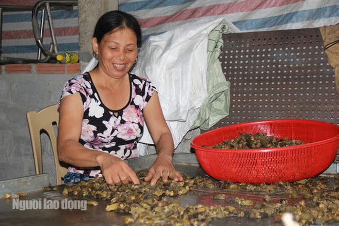 Thu mua cau bán cho Trung Quốc, kiếm hàng trăm triệu đồng mỗi vụ - Ảnh 12.