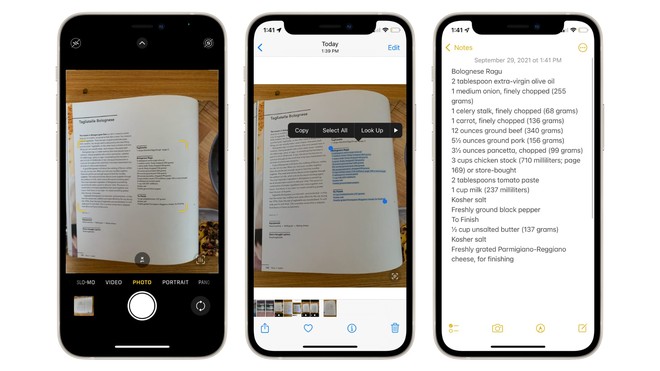 Cách sao chép và cắt dán nội dung văn bản trong ảnh trên iPhone - Ảnh 1.