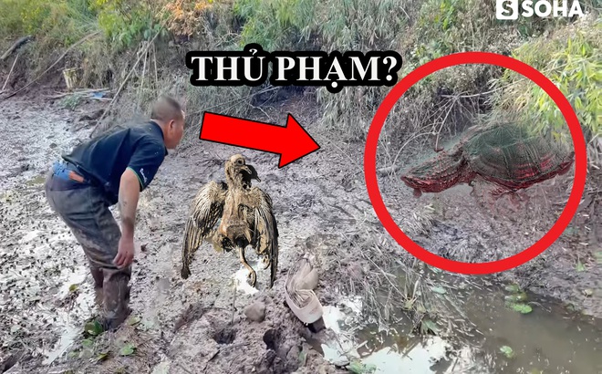 Ảnh minh họa: Thành Luân