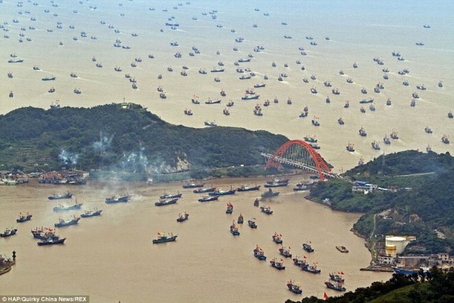 Mối nguy lớn từ đội tàu cá Trung Quốc: Đại dương đang bị tận diệt?