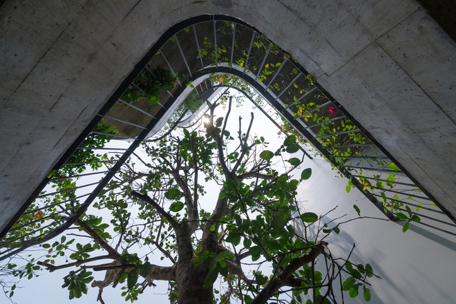 Hút mắt với khu rừng thu nhỏ trong ngôi nhà ở Nghệ An, mang ký ức cuộc sống xưa cũ về thời hiện đại - Ảnh 17.