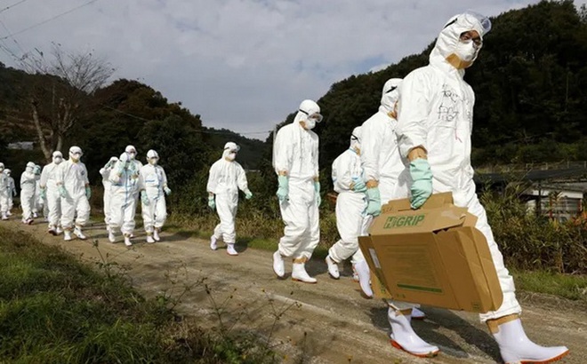 Lực lựng chức năng đến một trang trại ở Higashikagawa (Nhật Bản) sau khi phát hiện trường hợp nghi nhiễm cúm gia cầm. Ảnh: Kyodo