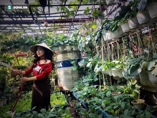 Cô giáo Hà Nội mát tay trồng cả chợ rau trên 30m2 sân thượng, người ở quê lên cũng phải nể - Ảnh 7.