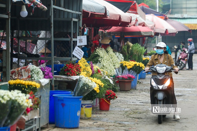 Hà Nội: Thị trường hoa 20/11 ảm đạm, tiểu thương ngủ gật - Ảnh 1.