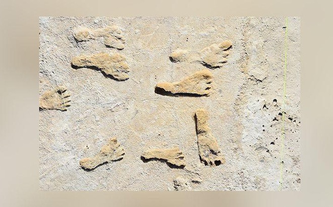 Những dấu chân hóa thạch mới được phát hiện tại bang New Mexico, Mỹ