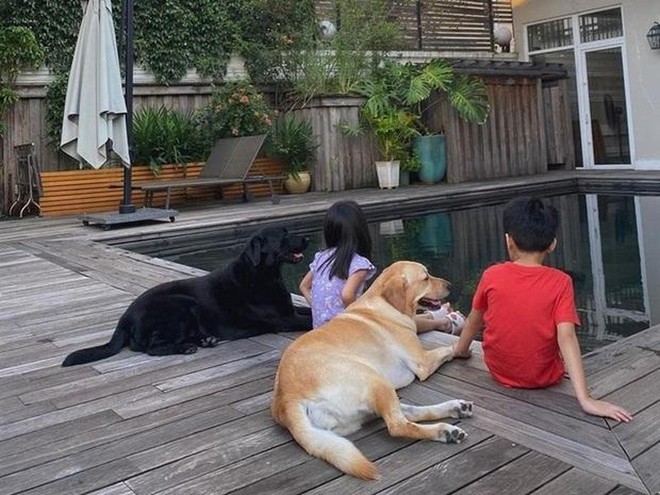 Sao Việt lấy chồng siêu giàu: Tăng Thanh Hà sang trang sau khi kết hôn với thiếu gia “đế chế” hàng hiệu - Ảnh 25.