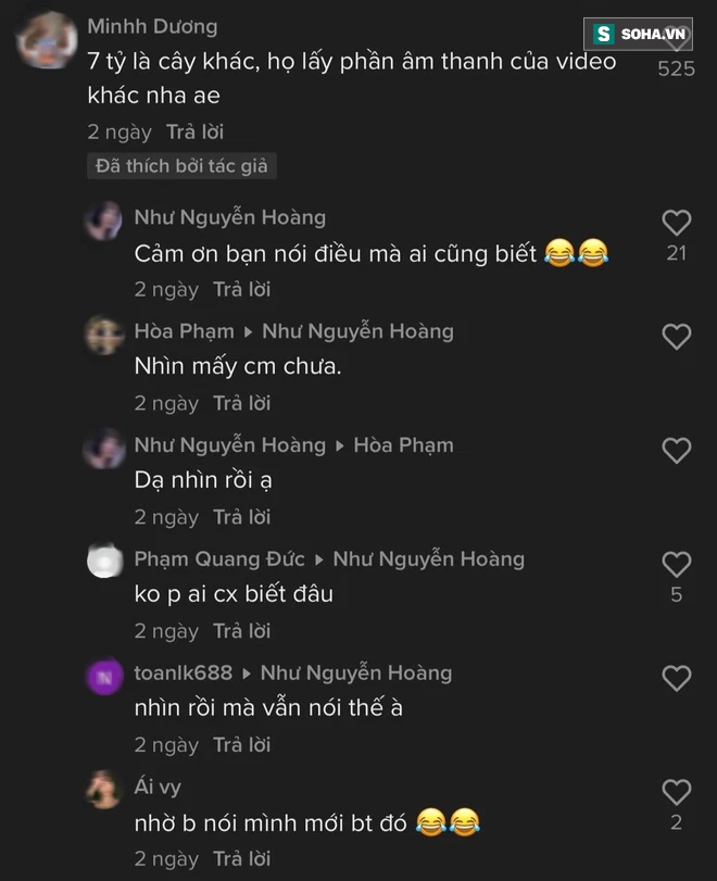 Được nhiều người để mắt đến, chủ nhân cây hoa giấy hét giá 7 tỷ đồng - Ảnh 4. Được nhiều người để mắt đến, chủ nhân cây hoa giấy hét giá 7 tỷ đồng - Ảnh 4.