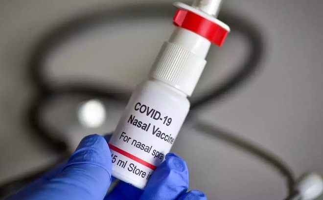 Một loại vaccine Covid-19 dạng xịt mũi. Ảnh: Times of India.