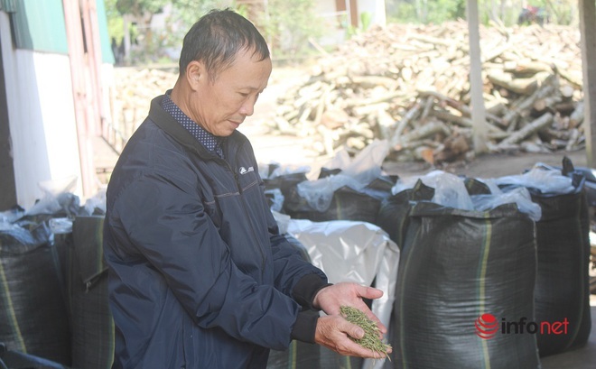 Lão nông đánh thức vùng đất khó, thu nhập chục tỷ mỗi năm - Ảnh 5.