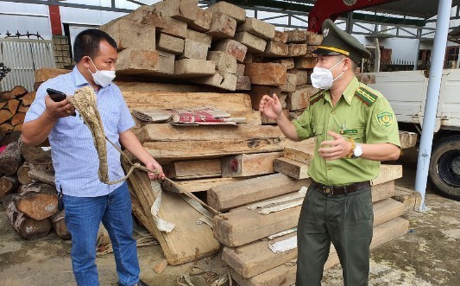 Ông Trần Văn Tùng (phải), Hạt trưởng Kiểm lâm huyện Krông Bông chia sẻ với PV về việc thường xuyên phải đối đầu với lâm tặc.