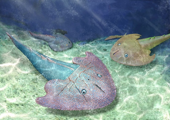 Hàng loạt bất ngờ về quái ngư tồn tại ở Việt Nam 415 triệu năm trước - Ảnh 1.