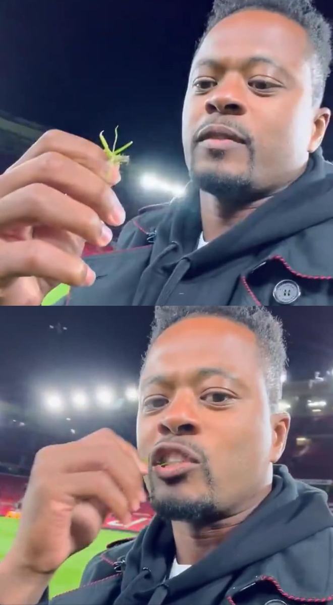 Patrice Evra... ăn cỏ trên sân vận động Old Trafford - Ảnh 1.