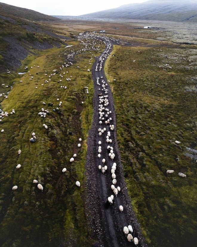 Những hình ảnh thú vị cho thấy Iceland không giống bất kỳ nước nào trên thế giới - Ảnh 14.