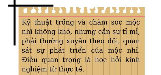 Chỉ ăn, ngủ với mộc nhĩ, mỗi năm vợ chồng trẻ thu hơn 300 triệu đồng - Ảnh 6.