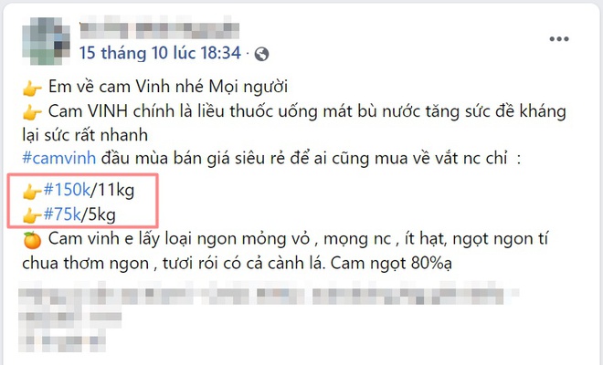 Chị em tranh thủ mua gom cam Vinh giá chỉ 11.000 đồng/kg, bán tấp nập trên thị trường - Ảnh 6.