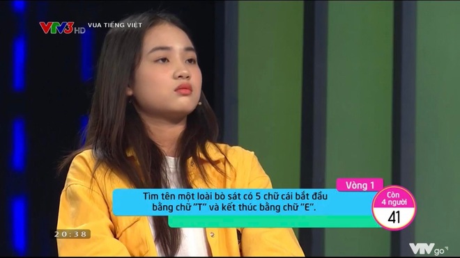 Con gì thuộc loài bò sát, tên bắt đầu bằng “T” kết thúc bằng “E”: Người chơi bó tay - Ảnh 1.