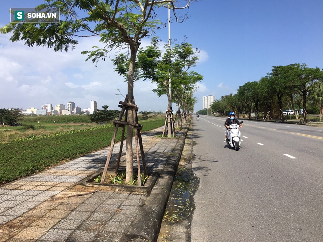 Vụ giám đốc công ty bất động sản tự tử tại toà: 2 khu đất vàng hiện có giá bao nhiêu? - Ảnh 2.