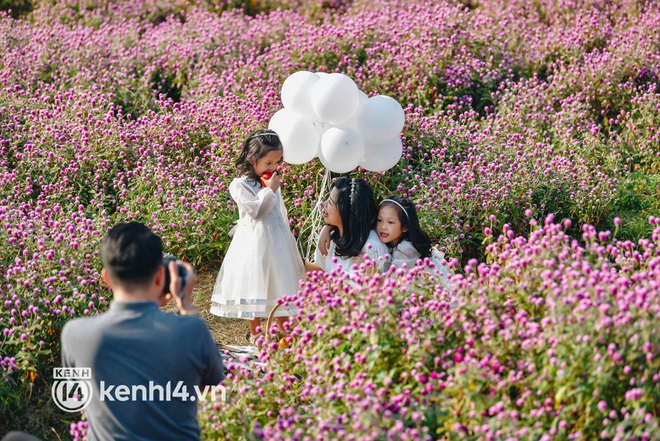 Ảnh: Điểm danh những vườn hoa hot nhất Hà Nội đang được giới trẻ rần rần kéo đến check in - Ảnh 13.