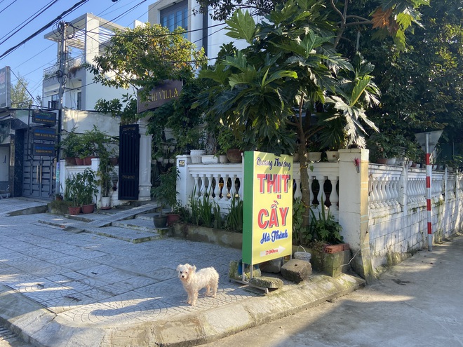 Diễn biến lạ ở những quán tại Hội An sau cam kết loại bỏ sử dụng thịt chó - Ảnh 4.