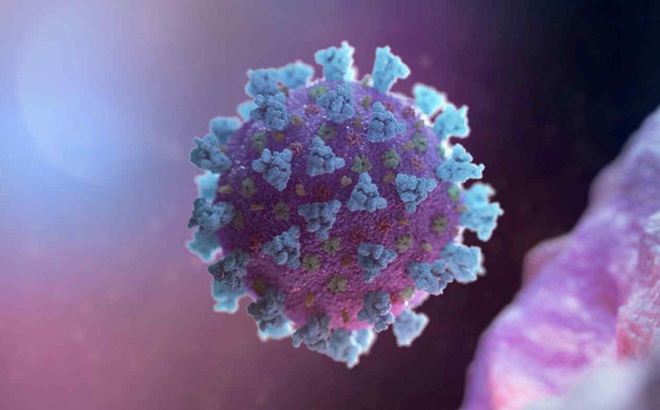 Một mẫu virus Corona. Ảnh: Reuters