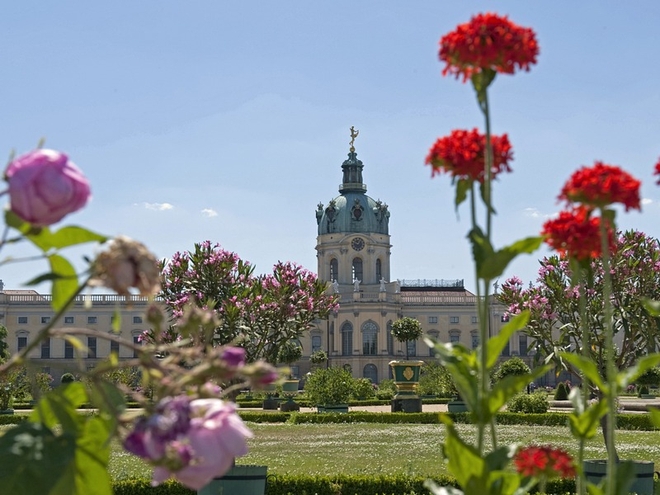 Căn phòng hổ phách của Sa hoàng Romanov - Ảnh 2.