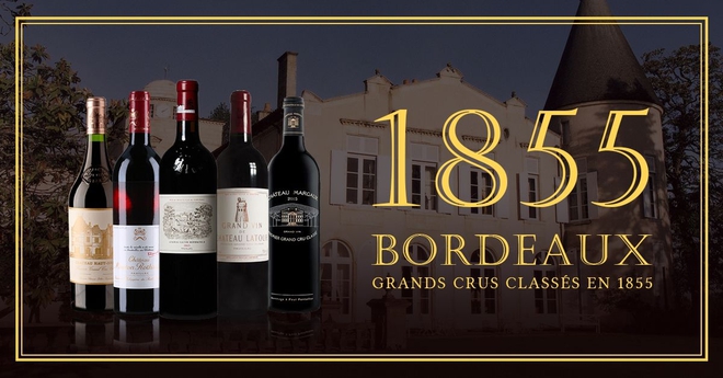 Rượu vang Bordeaux đang trở thành mục tiêu của các tổ chức tội phạm - Ảnh 1.