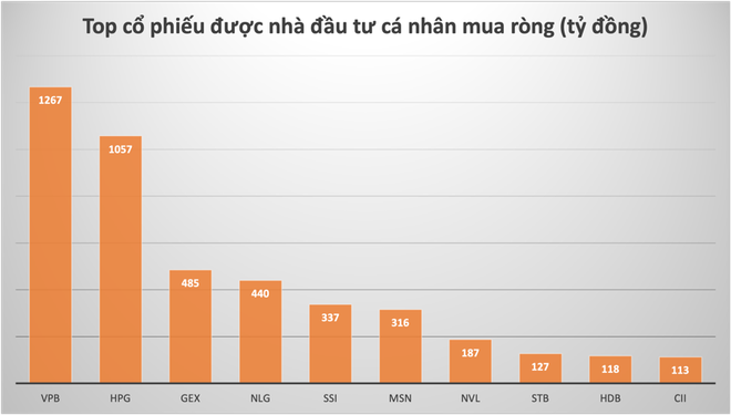 Nhà đầu tư cá nhân đang tập trung gom cổ phiếu nào? - Ảnh 1.