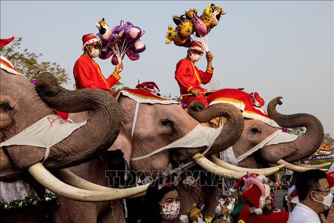 Độc đáo hình ảnh voi phát quà Giáng sinh tại Thái Lan - Ảnh 1.