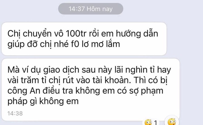 Bi hài chuyện nhà đầu tư F0 trên sàn chứng khoán - Ảnh 1.