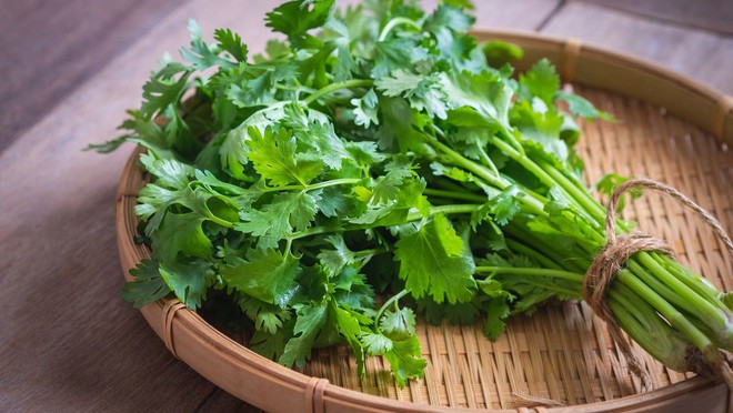 Loại cây quý lọc máu cực tốt, giảm cholesterol xấu: Người Việt chỉ biết dùng làm gia vị - Ảnh 1. Loại cây quý lọc máu cực tốt, giảm cholesterol xấu: Người Việt chỉ biết dùng làm gia vị - Ảnh 1.