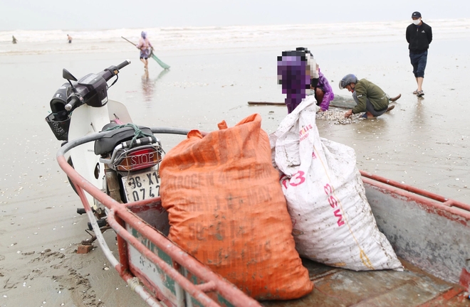 Ra biển vớt lộc lúc trái gió trở trời, người dân thu nhập tiền triệu mỗi ngày - Ảnh 7.