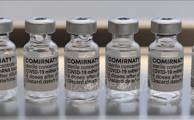 Vaccine ngừa COVID-19 của Pfizer-BioNTech. Ảnh: AFP/TTXVN