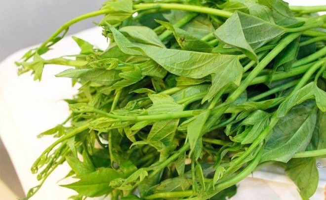 Thứ rau được coi là “rau trường thọ”, giúp thải độc, ở Việt Nam có đầy - Ảnh 1.