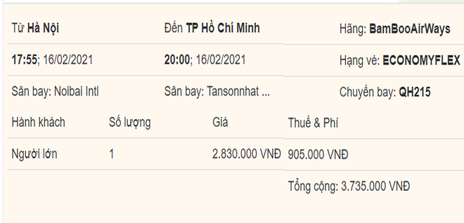 Giá vé máy bay Tết rẻ kỷ lục, đường bay TP HCM – Hà Nội giảm giá bất ngờ - Ảnh 1.
