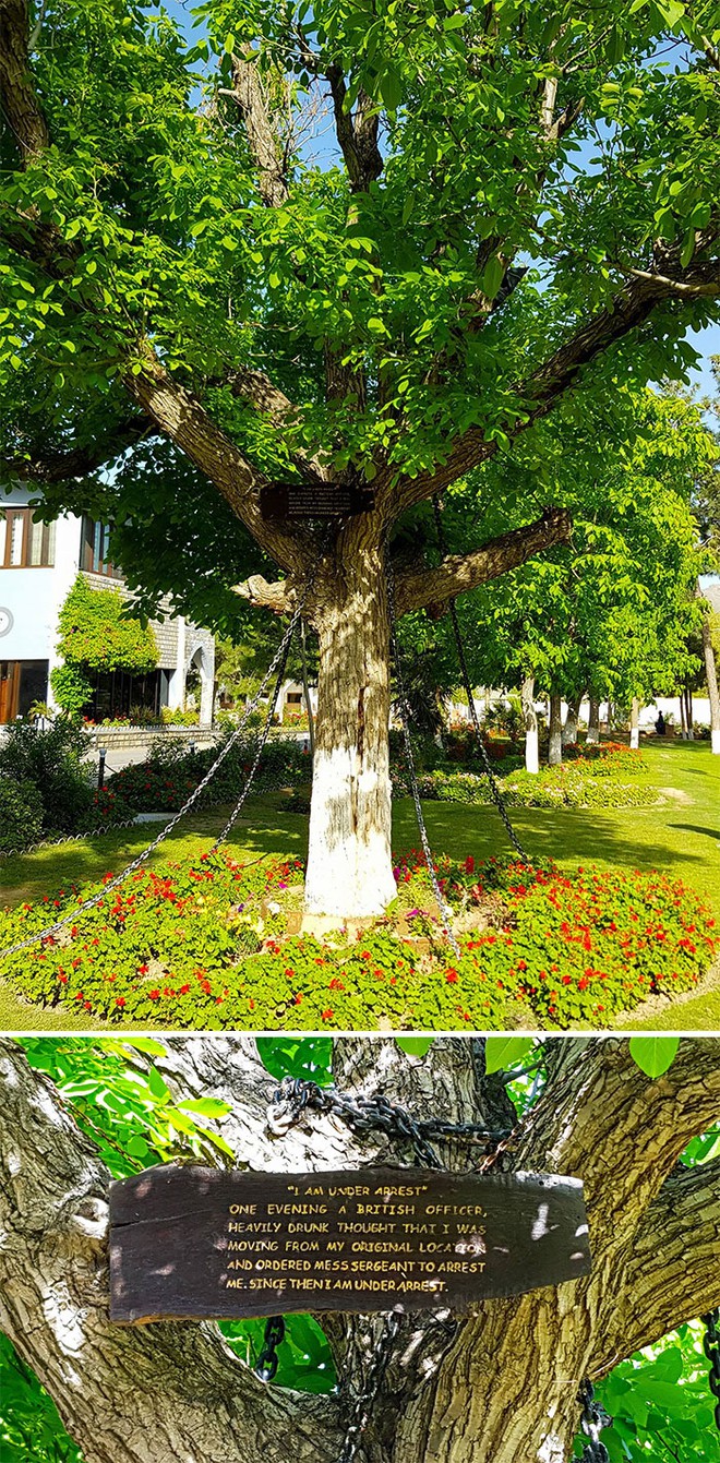 photo-1 photo-1