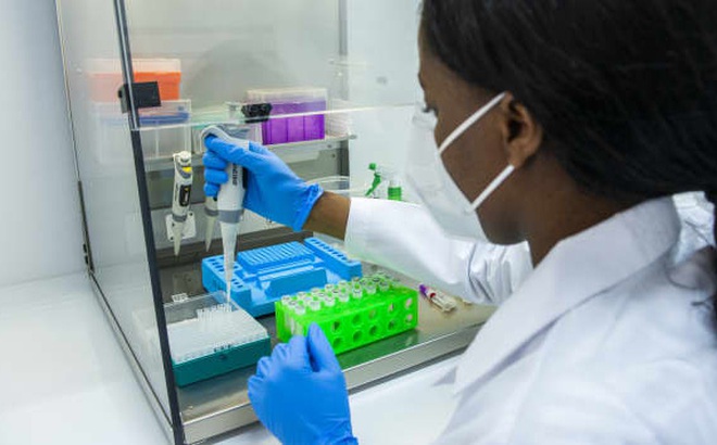 Xét nghiệm PCR trong phòng thí nghiệm ở Nam Phi. Ảnh: Getty Images