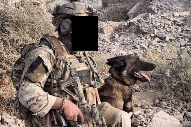 Số phận bất ngờ của những chú chó chiến đấu hết đát trong quân đội Anh - Ảnh 1.